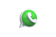 WHATSAPP TEICOL